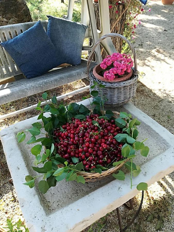 B&B Nonna Laura Trani Ngoại thất bức ảnh