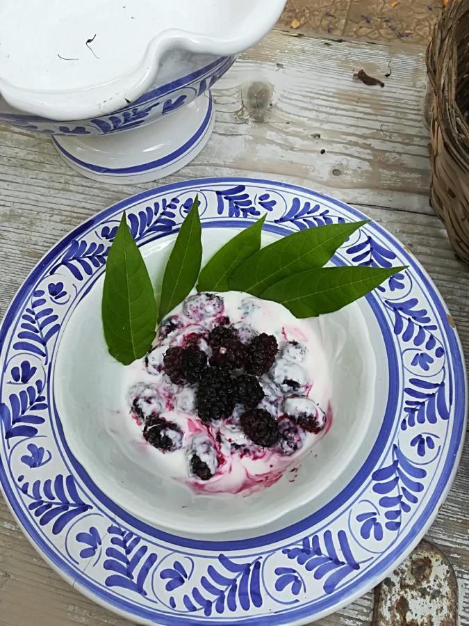 B&B Nonna Laura Trani Ngoại thất bức ảnh